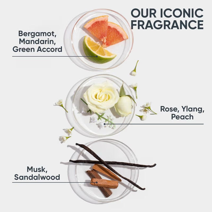 Biolage Fiberstrong Conditioner Strengthens hair and Reduces hairfall due to breakage 196g