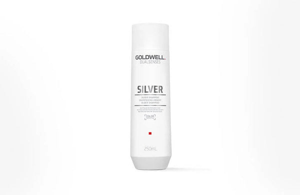 Goldwell Dualsenses Silver Shampoo 300ml - Kess Hair and Beauty