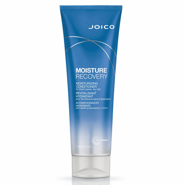 Joico Moisture Recovery Conditioner 250ml - Kess Hair and Beauty
