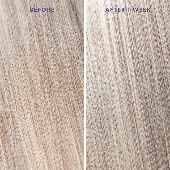 Moroccanoil Purple Treatment 50ml - Kess Hair and Beauty