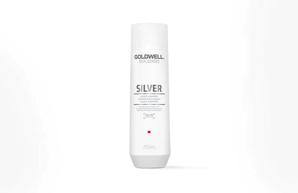 Goldwell Dualsenses Silver Shampoo 300ml - Kess Hair and Beauty